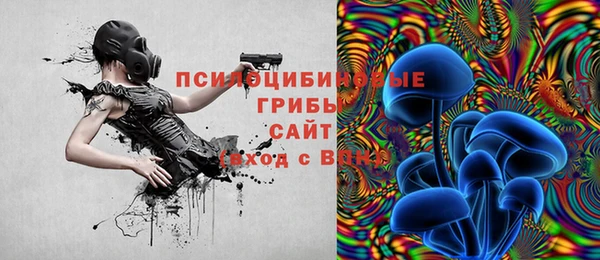 МДПВ Верея