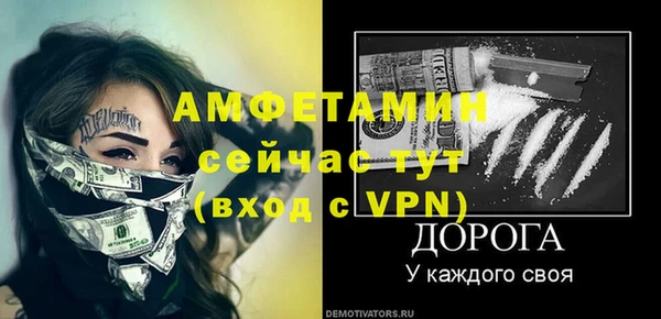 прущие грибы Тутаев