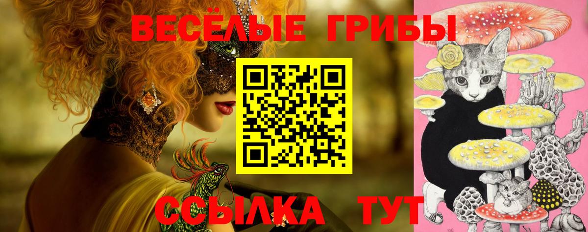 купить наркотик  Малоярославец  Псилоцибиновые грибы MAGIC MUSHROOMS 