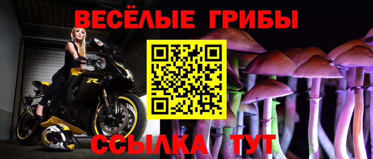 Галлюциногенные грибы мухоморы Малоярославец
