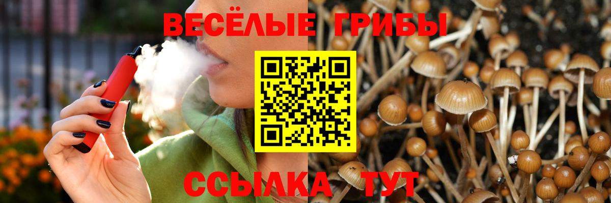 Галлюциногенные грибы прущие грибы  Вход с VPN  Малоярославец  Галлюциногенные грибы Magic Shrooms 